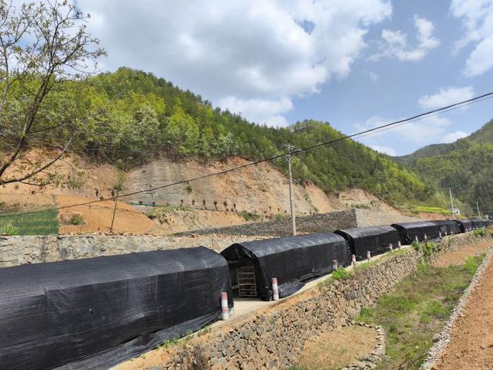 简篇-十里铺街道“四个一”措施推进磨沟流域乡村振兴示范带建设