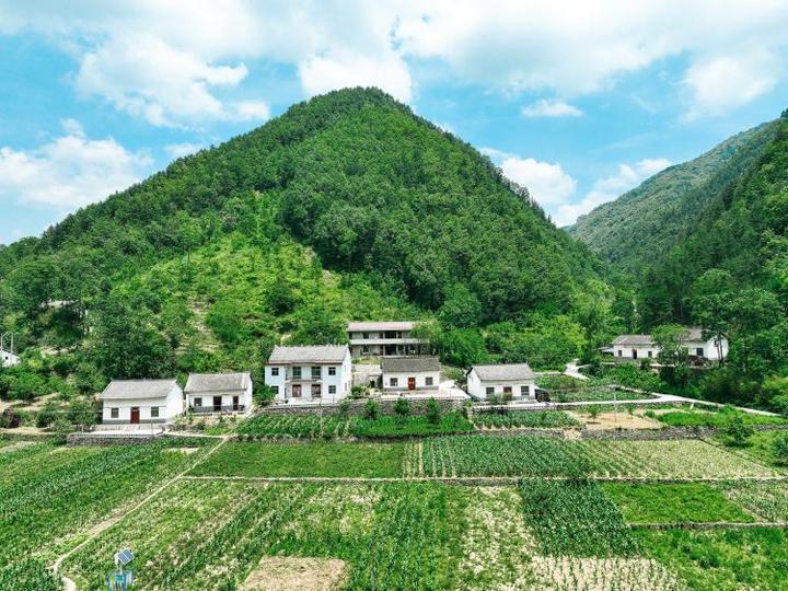 简篇-十里铺街道“四个一”措施推进磨沟流域乡村振兴示范带建设