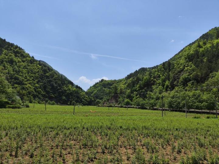 简篇-十里铺街道“四个一”措施推进磨沟流域乡村振兴示范带建设