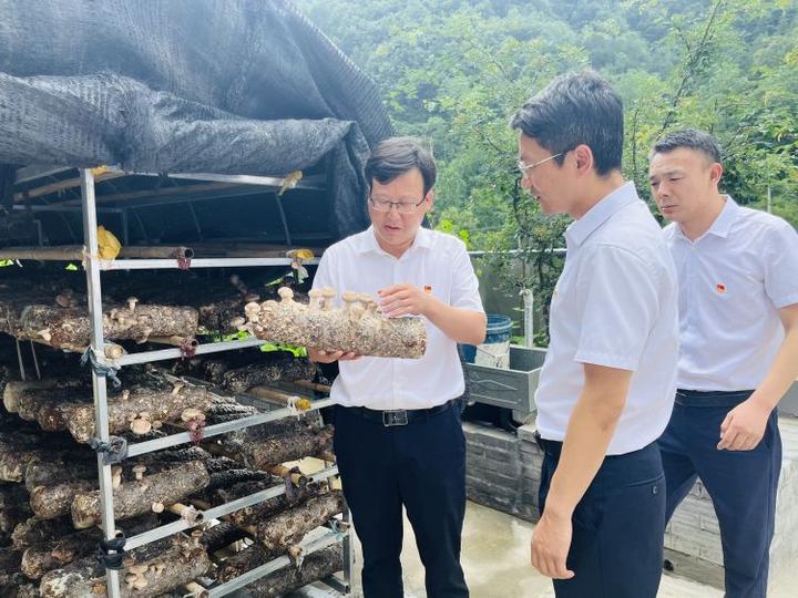 简篇-十里铺街道“四个一”措施推进磨沟流域乡村振兴示范带建设