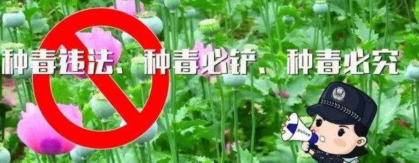 渭南市蒲城县洛滨镇人民