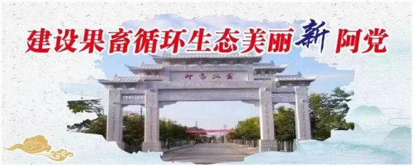 延安市黄陵县阿党镇：一